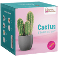 growing cactus kit