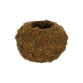 Kokedama krogljica M