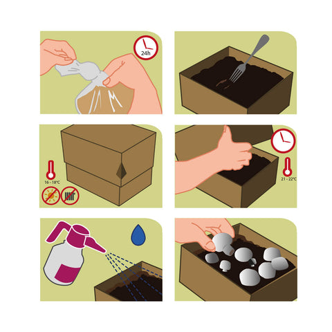 Gojenje gob in prednosti