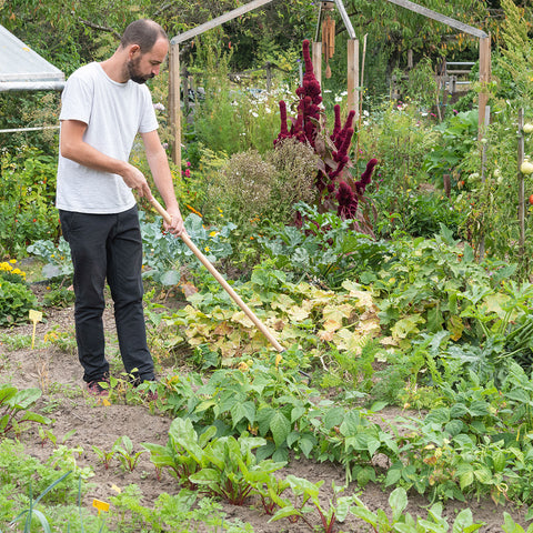 Razlogi zakaj imeti svoj zelenjavni vrt