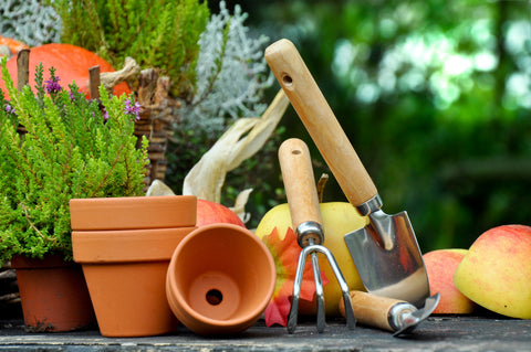 Vrtnarska sezona se je začela