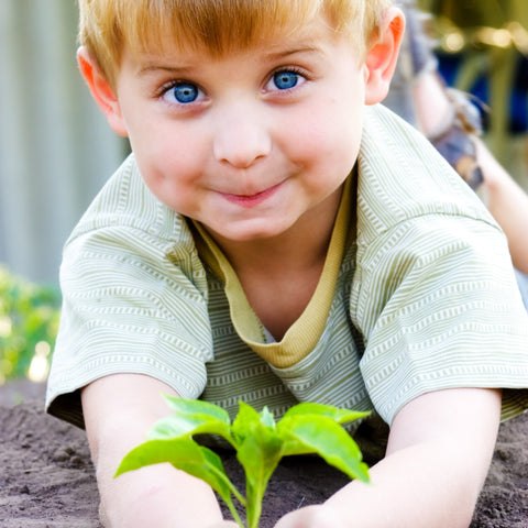 Vrtnarjenje za začetnike