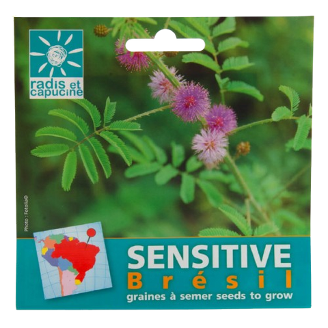 Semena - Mimosa pudica
