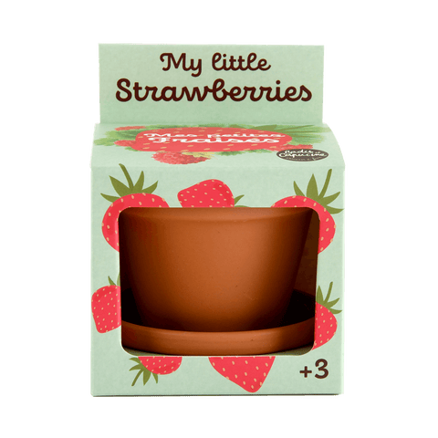 SET - Gojitveni lonec za sajenje jagod