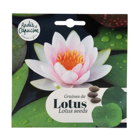 Semena Lotus