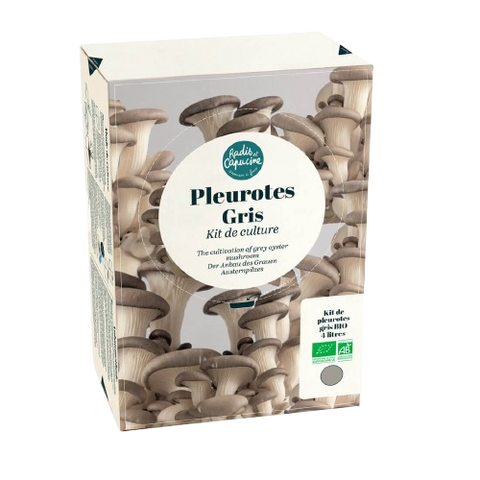 SET - Gojenje gob, sivi ostrigarji