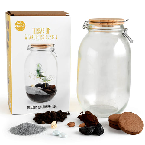 SET - Terarij za gojenje bora
