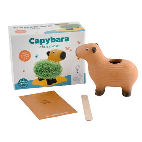 Kapibara za gojenje, chia semena, set za otroke