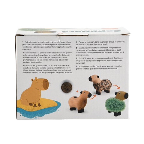 Kapibara za gojenje, chia semena, set za otroke