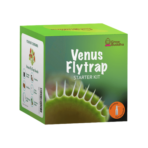 SET - Muholovka Venus, semena za začetnike
