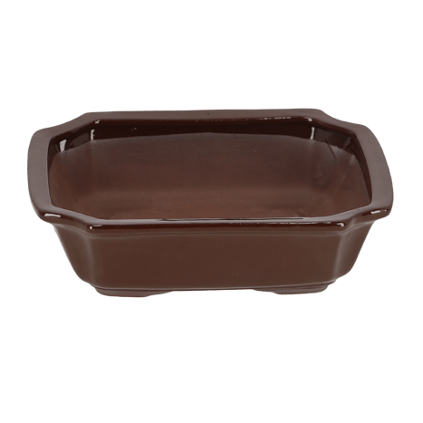 Bonsai posoda s podstavkom