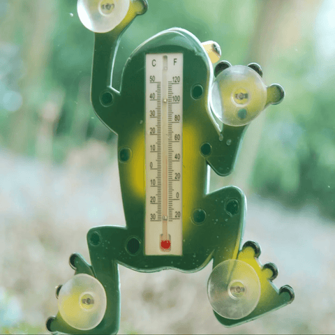 Termometer zunanji žaba