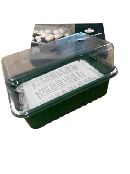 SET - Gojenje šampinjonov v posodi